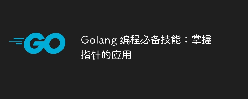 golang 编程必备技能：掌握指针的应用