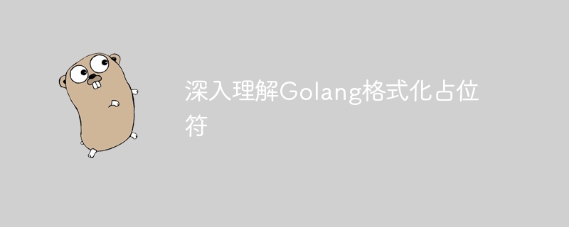 深入理解golang格式化占位符