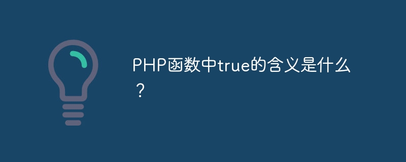 php函数中true的含义是什么？