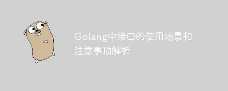 golang中接口的使用场景和注意事项解析