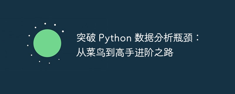 突破 python 数据分析瓶颈：从菜鸟到高手进阶之路