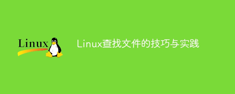 linux查找文件的技巧与实践