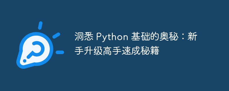 洞悉 python 基础的奥秘：新手升级高手速成秘籍