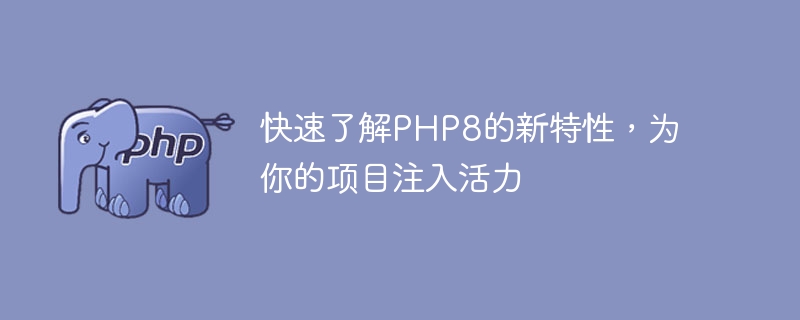 快速了解php8的新特性，为你的项目注入活力