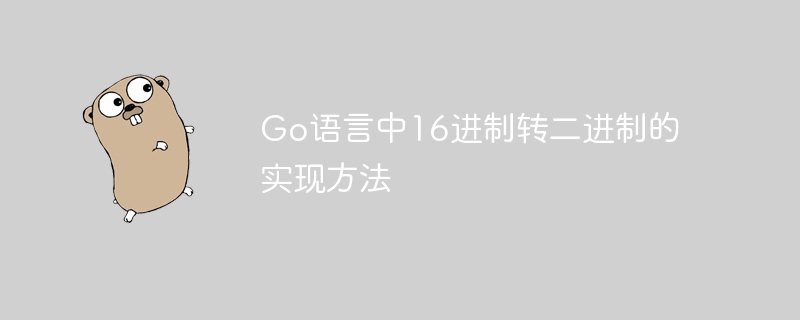 go语言中16进制转二进制的实现方法