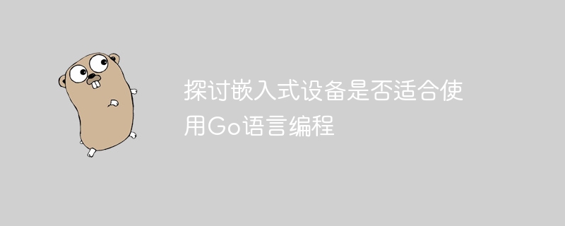 探讨嵌入式设备是否适合使用go语言编程