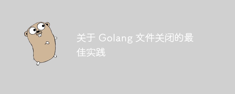 关于 golang 文件关闭的最佳实践