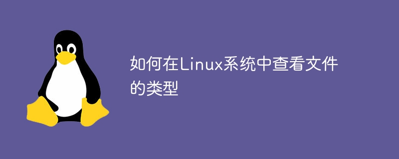 如何在linux系统中查看文件的类型