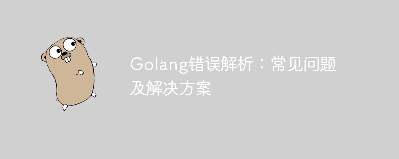 golang错误解析：常见问题及解决方案