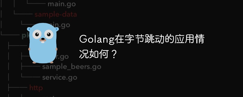 golang在字节跳动的应用情况如何？