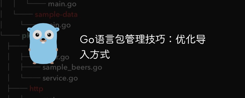 go语言包管理技巧：优化导入方式