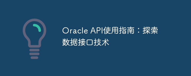 oracle api使用指南：探索数据接口技术