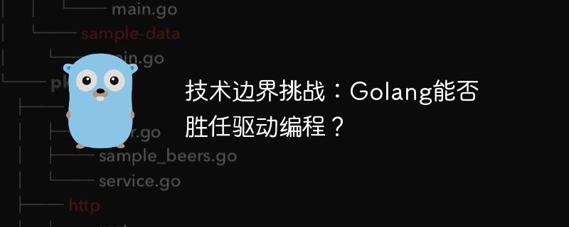 技术边界挑战：golang能否胜任驱动编程？