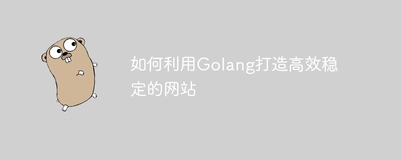 如何利用golang打造高效稳定的网站