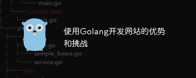 使用golang开发网站的优势和挑战