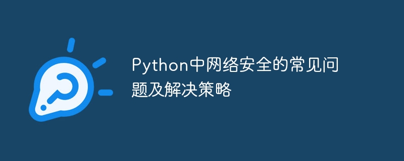 python中网络安全的常见问题及解决策略