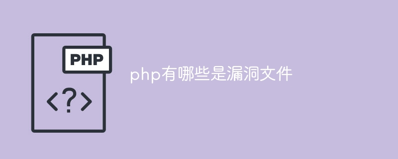 php有哪些是漏洞文件