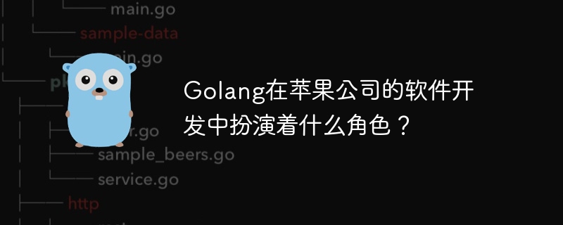 golang在苹果公司的软件开发中扮演着什么角色？