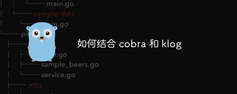 如何结合 cobra 和 klog