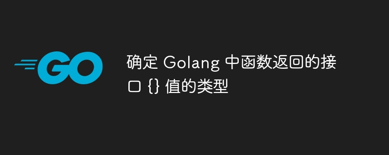 确定 golang 中函数返回的接口 {} 值的类型