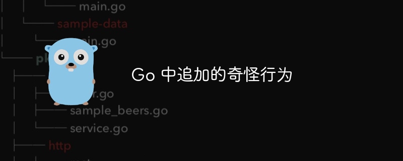 go 中追加的奇怪行为