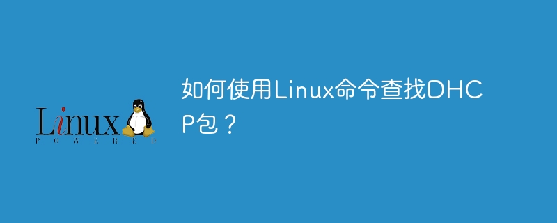 如何使用linux命令查找dhcp包？