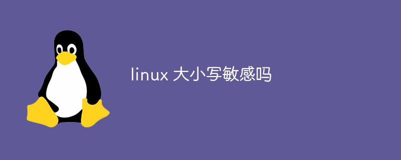 linux 大小写敏感吗