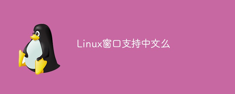 Linux窗口支持中文么