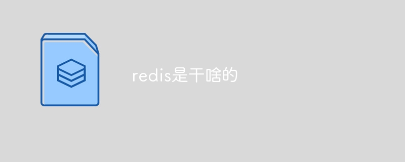 redis是干啥的