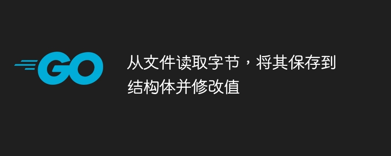 从文件读取字节，将其保存到结构体并修改值