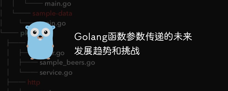 Golang函数参数传递的未来发展趋势和挑战