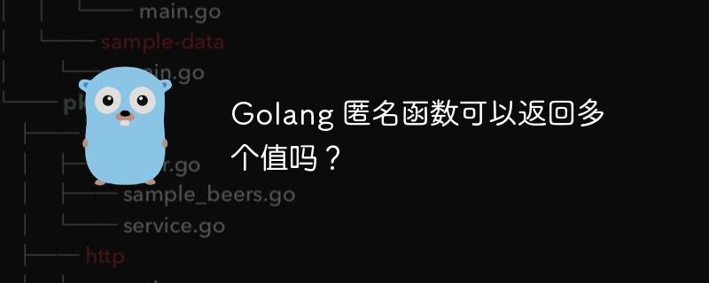 Golang 匿名函数可以返回多个值吗？