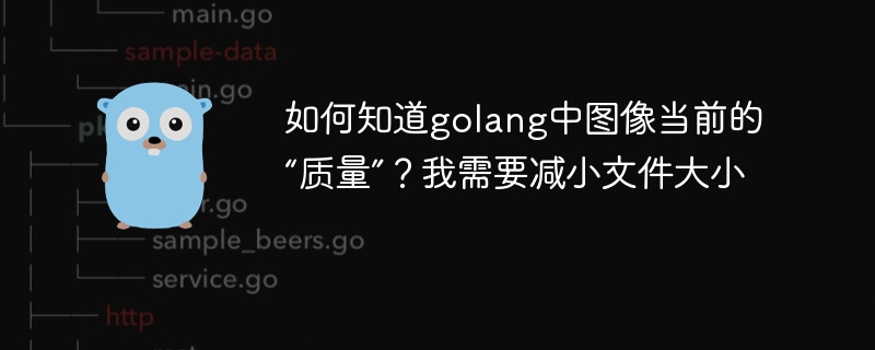 如何知道golang中图像当前的“质量”？我需要减小文件大小