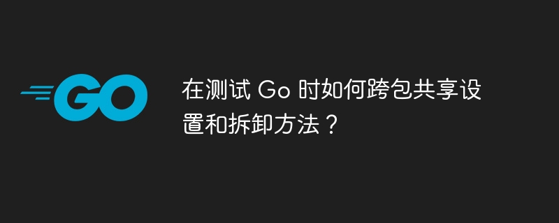 在测试 go 时如何跨包共享设置和拆卸方法？