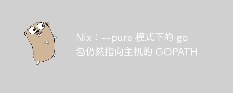 nix：--pure 模式下的 go 包仍然指向主机的 gopath