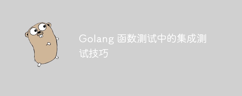 Golang 函数测试中的集成测试技巧