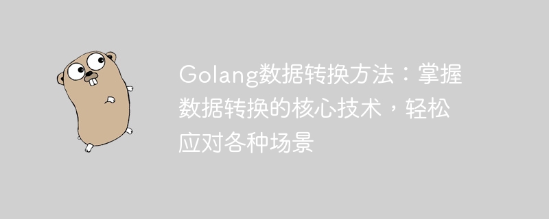 golang数据转换方法：掌握数据转换的核心技术，轻松应对各种场景