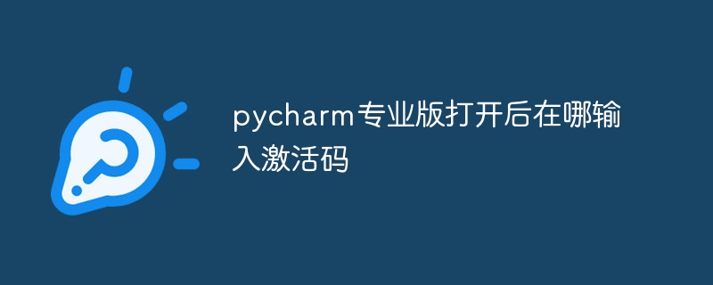 pycharm专业版打开后在哪输入激活码