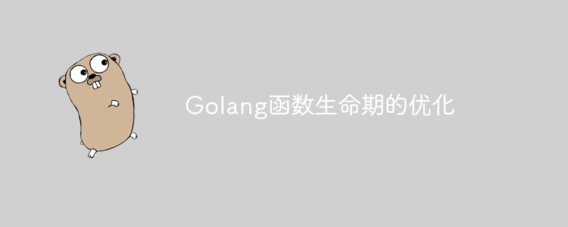 Golang函数生命期的优化