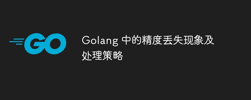 golang 中的精度丢失现象及处理策略