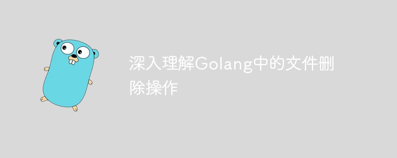 深入理解golang中的文件删除操作