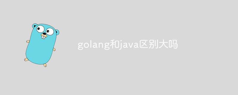 golang和java区别大吗