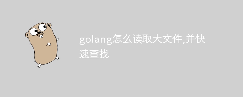 golang怎么读取大文件,并快速查找