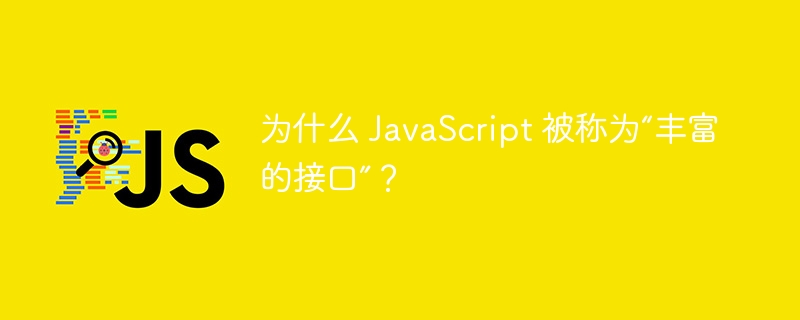 为什么 javascript 被称为“丰富的接口”？