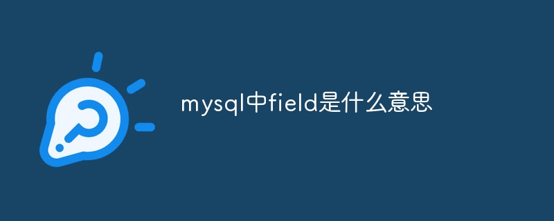 mysql中field是什么意思