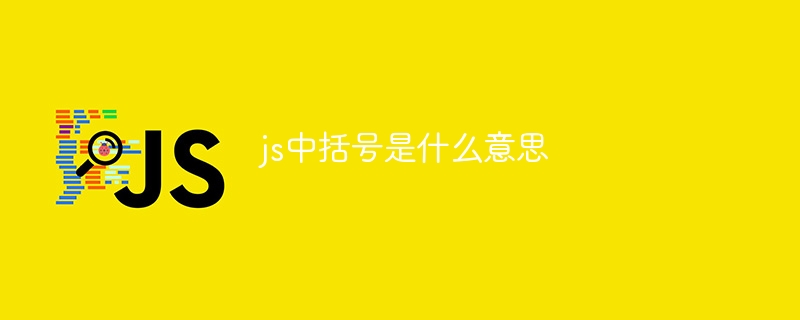 js中括号是什么意思