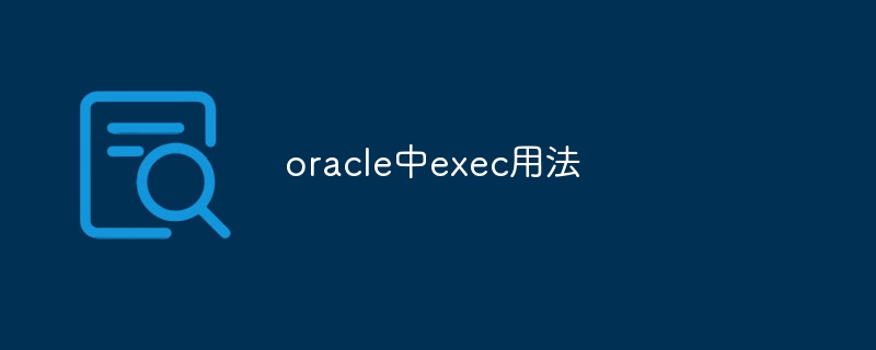 oracle中exec用法