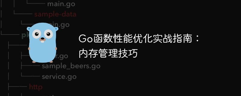 Go函数性能优化实战指南：内存管理技巧