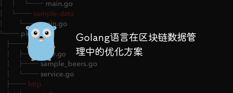 Golang语言在区块链数据管理中的优化方案