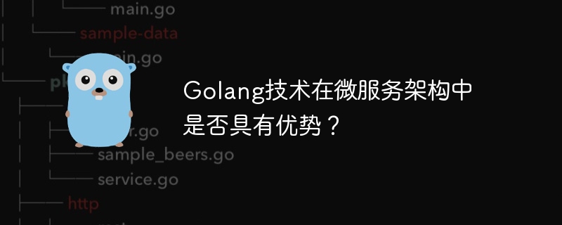 Golang技术在微服务架构中是否具有优势？